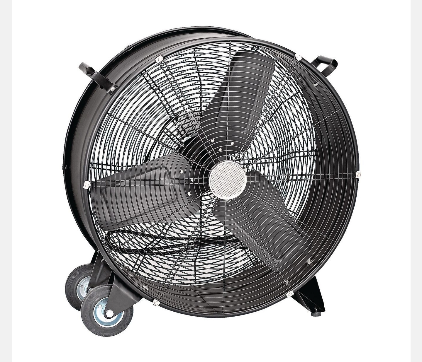 Fan